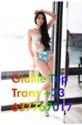 New top trans in monaco gross cock tbmt only incall outcall +33 637767017